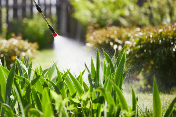 24/7 Emergency Wasp Removal experts in Reserve, LA